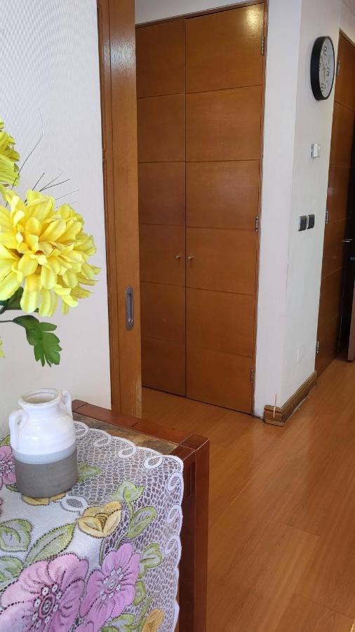 Apartamento La Avenida Dptos Amoblados Diego Velasquez Santiago